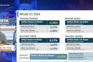 BI Beberkan Penyebab Penurunan Deflasi Bangka Belitung