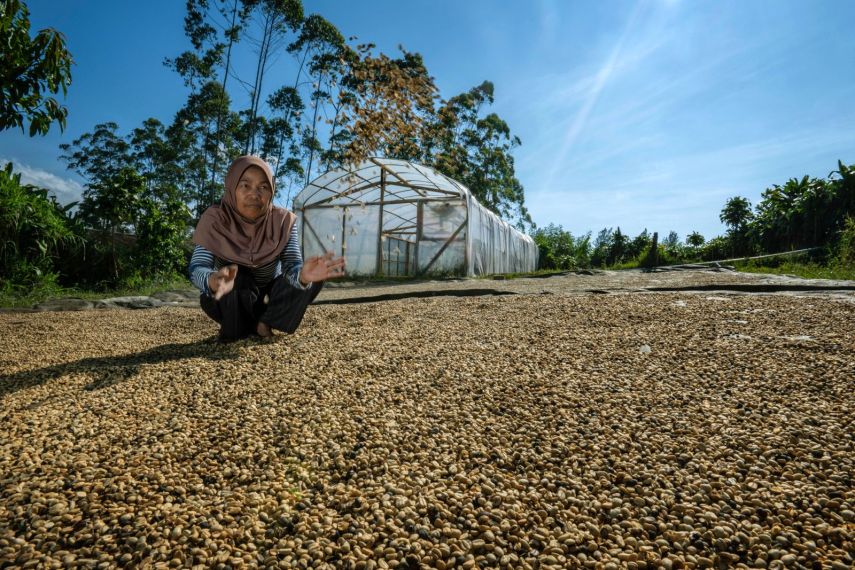 BNI Agresif Dorong Pembiayaan Hijau, Portofolio Capai Rp 13,37 Triliun