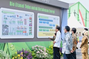 ESDM Beberkan Strategi Wujudkan Ketahanan Energi, Apa Saja?