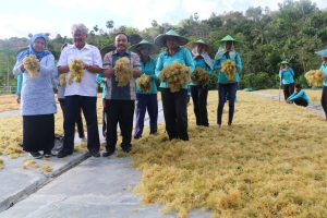 Kementrans Serahkan 400 SHM, Sumba Timur Disiapkan Jadi Pusat Ekonomi Baru