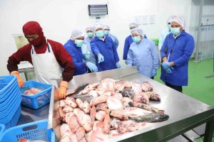 KKP Proyeksikan Produktivitas Tambak Jawa Barat Meningkat Usai Revitalisasi