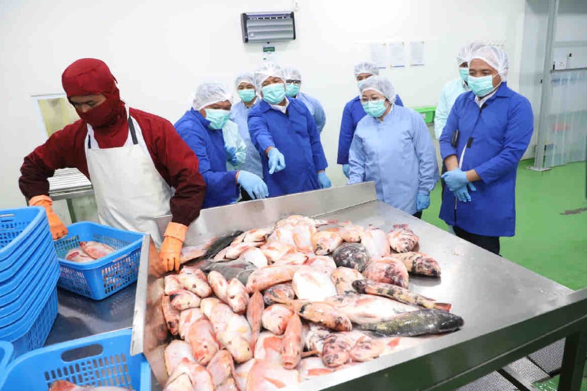 KKP Proyeksikan Produktivitas Tambak Jawa Barat Meningkat Usai Revitalisasi