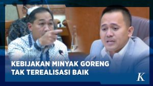 Mengapa DPR Sebut Kementerian BUMN Macan Ompong?