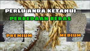 Ramai Dugaan Pengoplosan, Cek Perbedaan Beras Medium dan Beras Premium