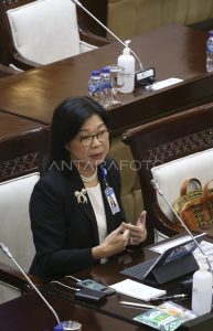 Uji Kelayakan dan Kepatutan Calon Deputi Gubernur BI di DPR, Ini Visi Misi Ricky P. Gozali